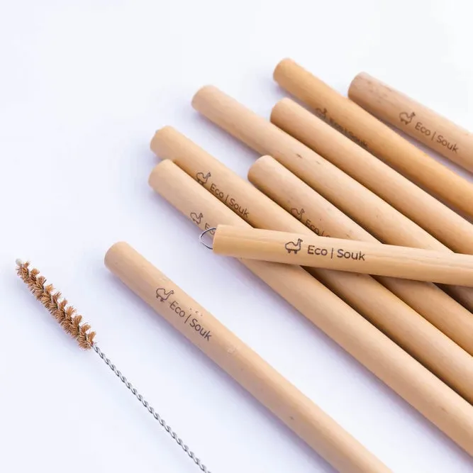 Bamboo Straw and Cleaner