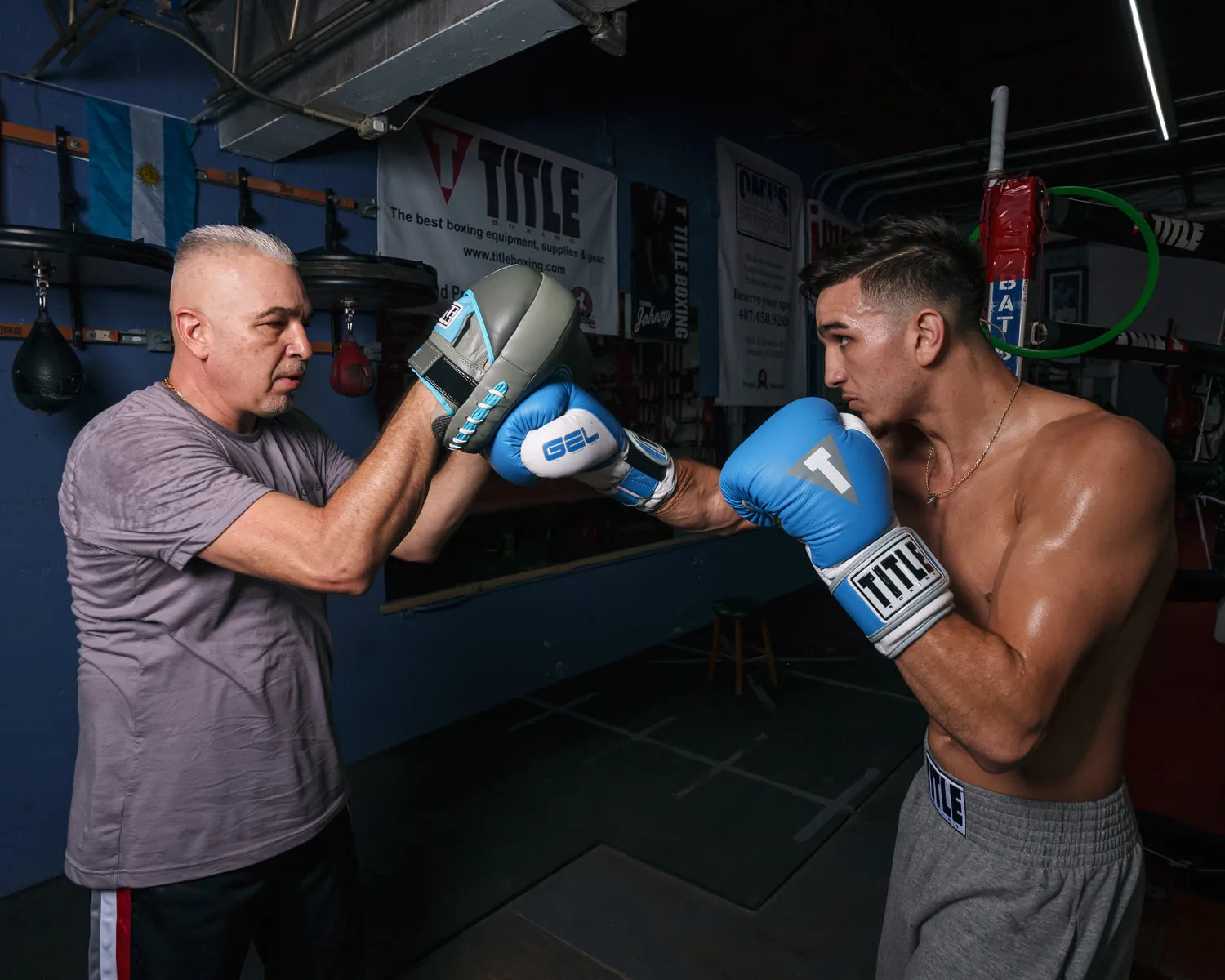 TITLE Boxing Air Pocket Technology Punch Mitts